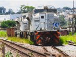 VLI 8431